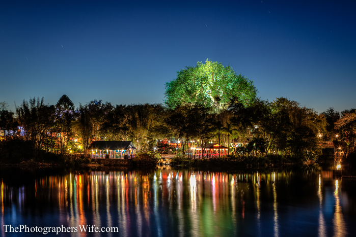 January Disney Trip-172