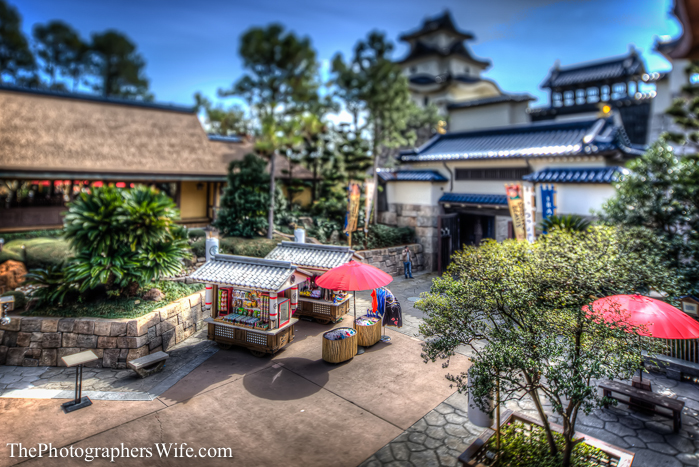 January Disney Trip-21