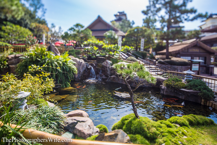 January Disney Trip-22