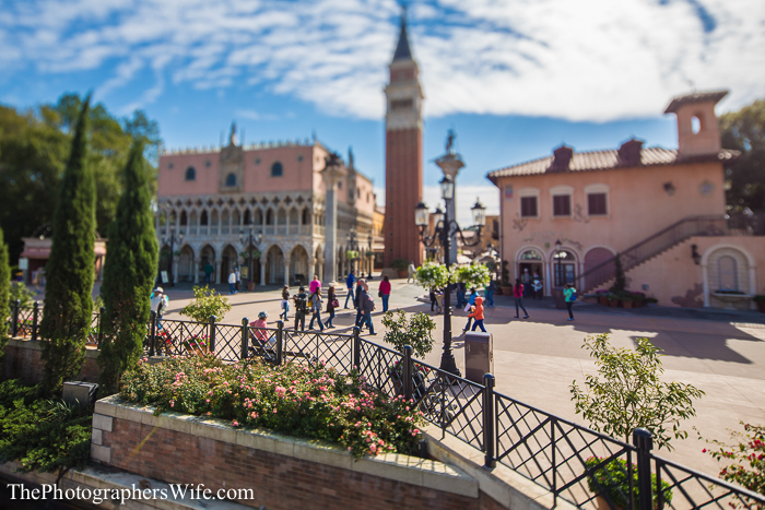 January Disney Trip-25