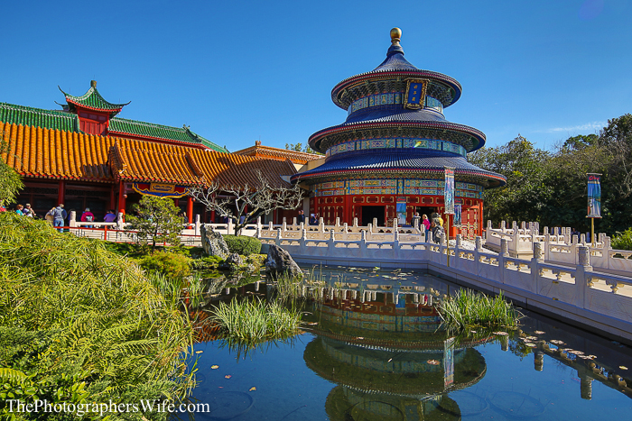 January Disney Trip-29