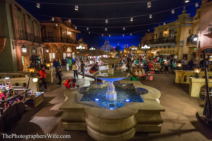 January Disney Trip-31