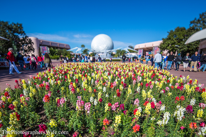 January Disney Trip-35