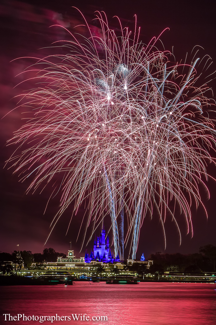 January Disney Trip-75
