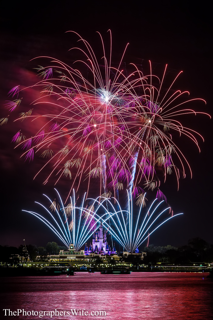 January Disney Trip-76