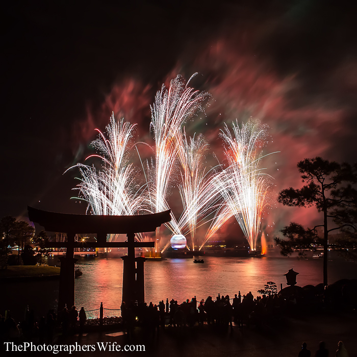 January Disney Trip-84