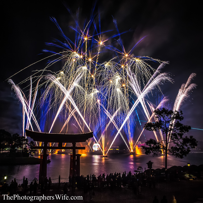 January Disney Trip-86
