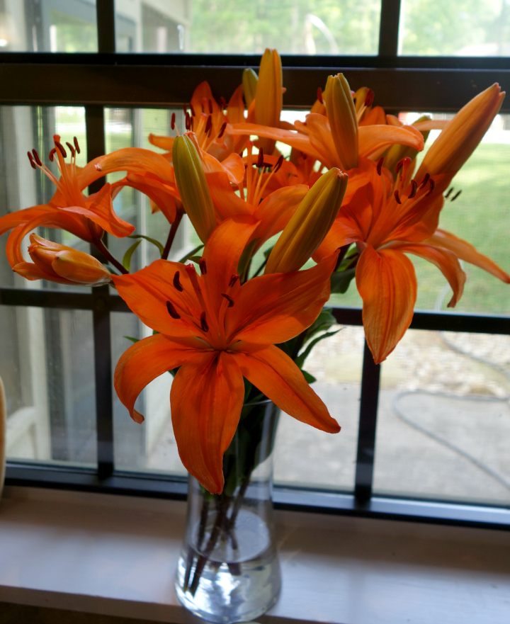 Bouqs 4