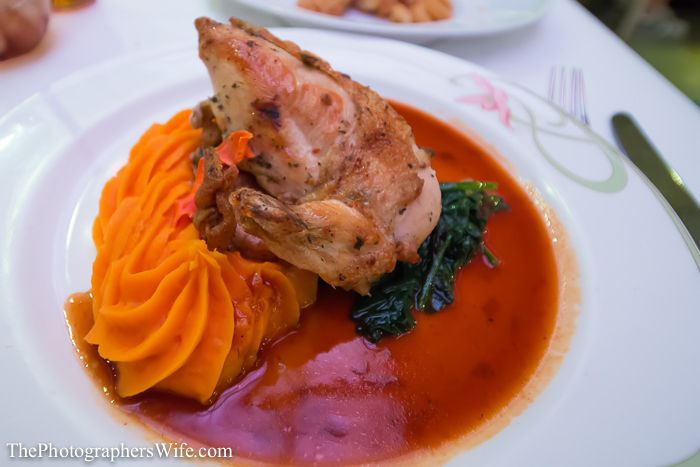 Disney Dream Cruise-23
