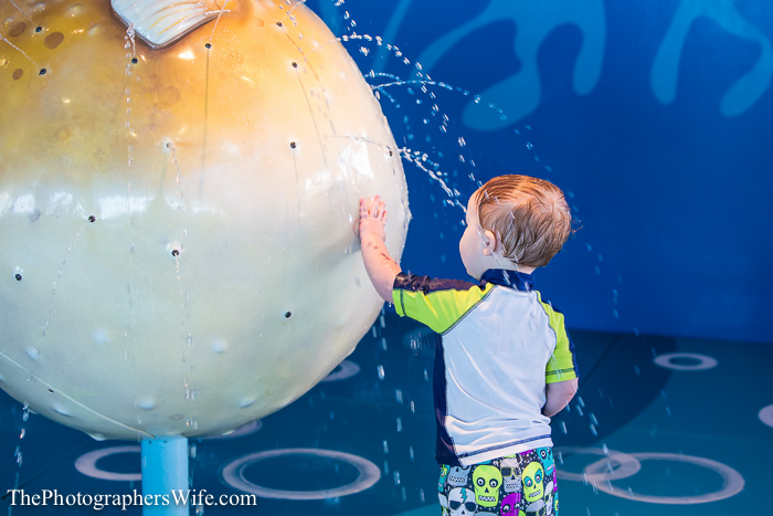 Disney Dream Cruise-41