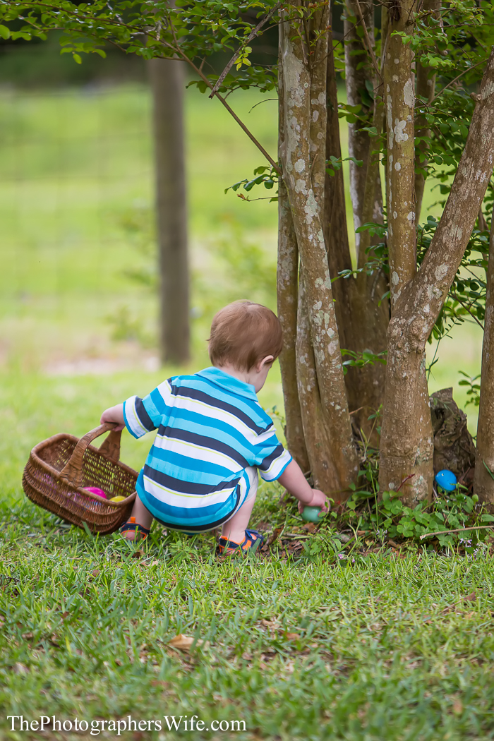 Easter 2014-15