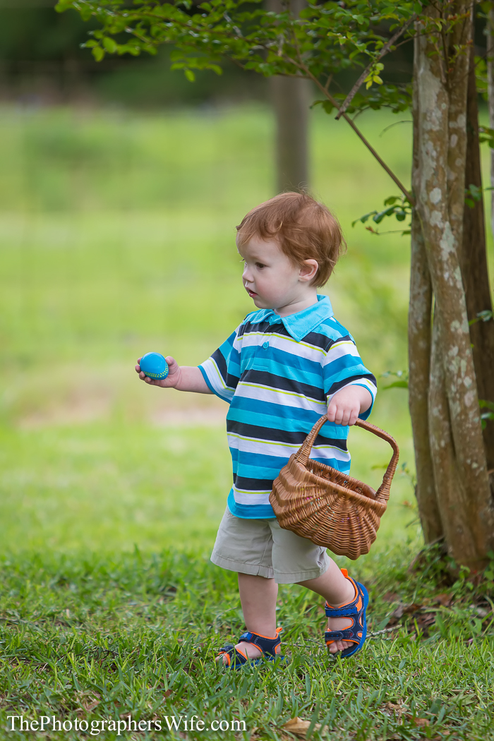Easter 2014-16