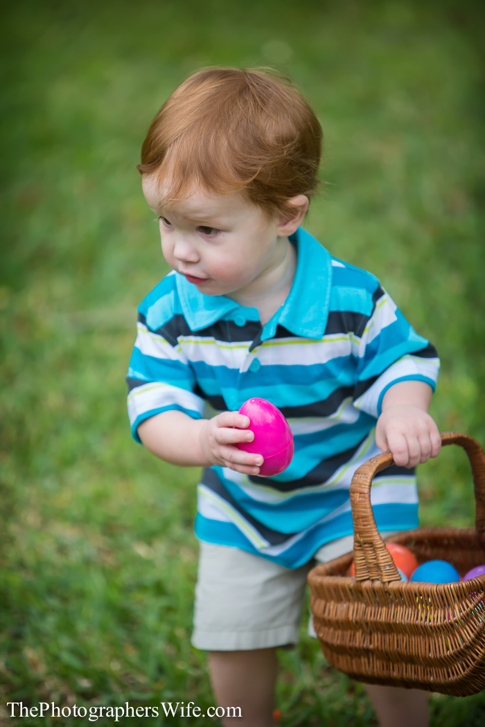Easter 2014-17