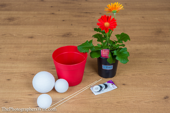 Mickey Flower Pot-1
