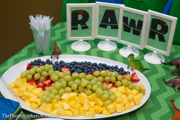 Dinosaur Party-11