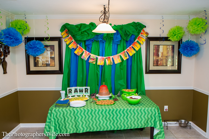 Dinosaur Party-3
