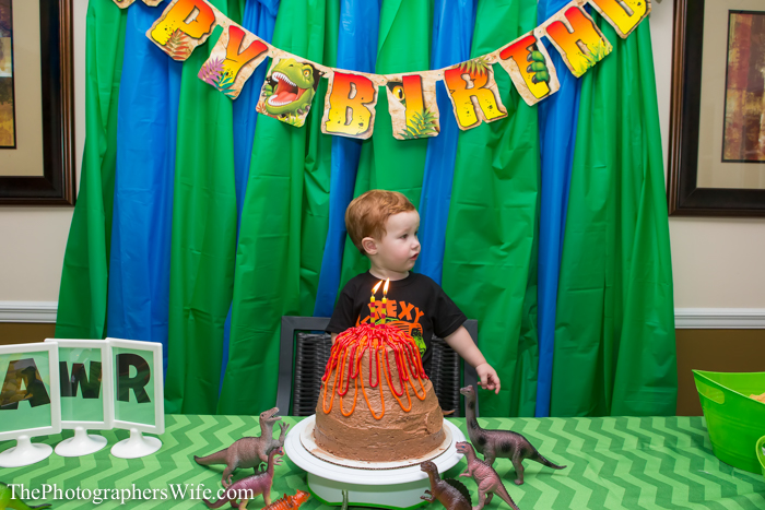 Dinosaur Party-47