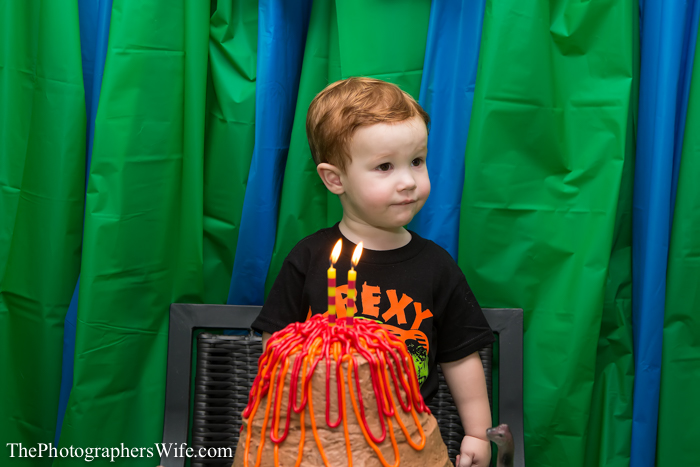 Dinosaur Party-48