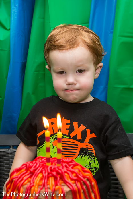 Dinosaur Party-49