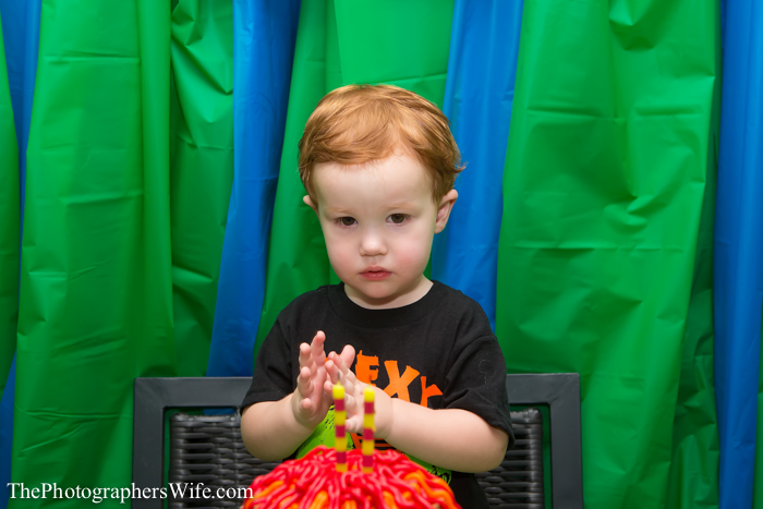 Dinosaur Party-51