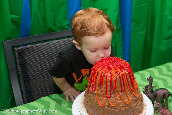 Dinosaur Party-53