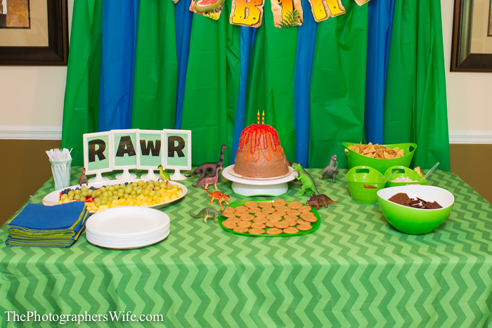 Dinosaur Party-8