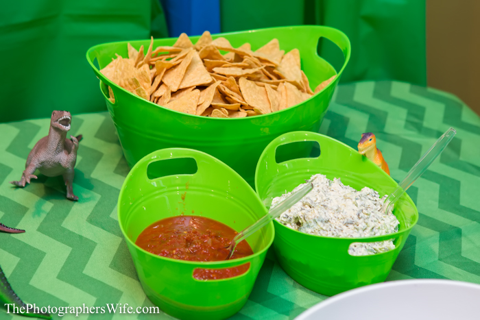 Dinosaur Party-9