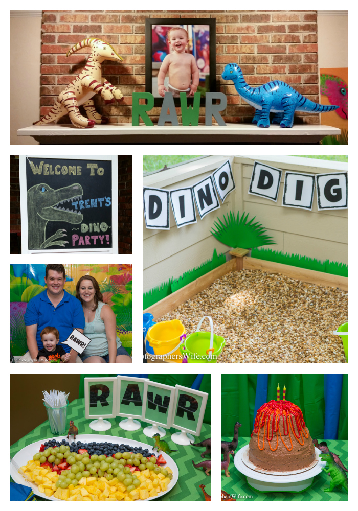 Dinosaur Party Collage