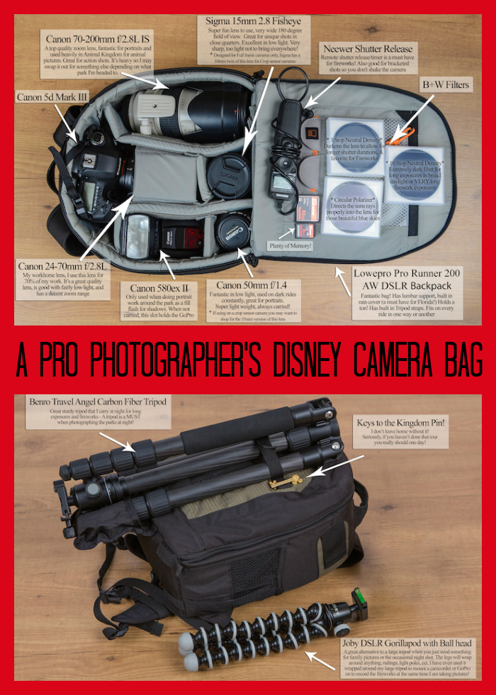 Disney Camera Bag Collage
