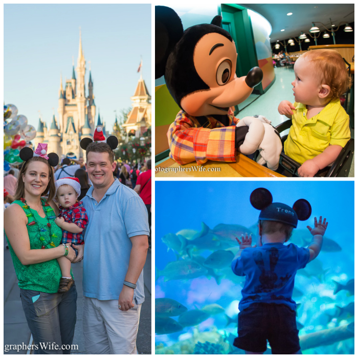 Disney Collage