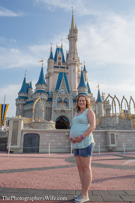 DIsney Maternity-1000