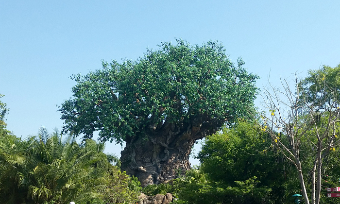 Disney May 2