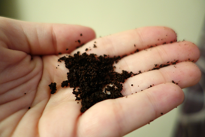 Frank Coffee Scrub 5