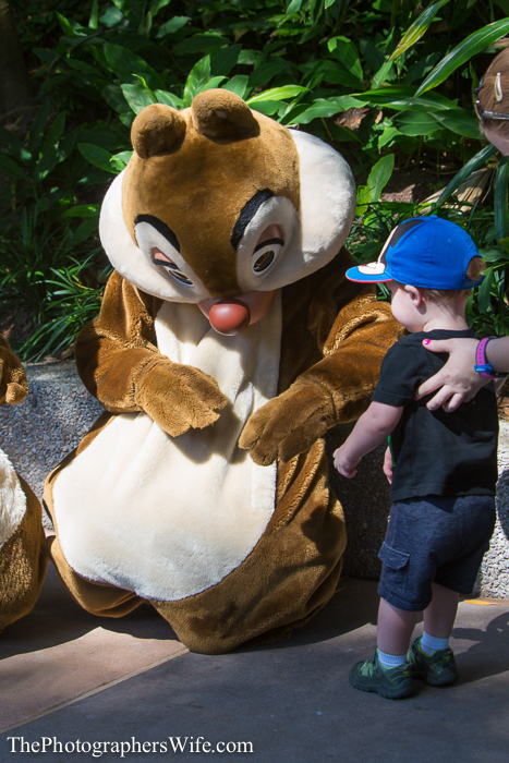 May Disney 1-1000