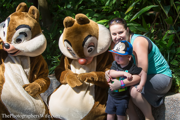 May Disney 1-1001