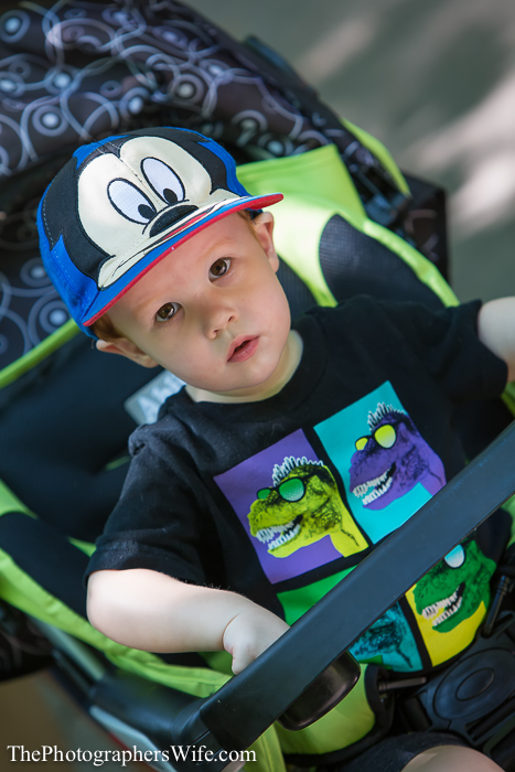 May Disney 1-1008