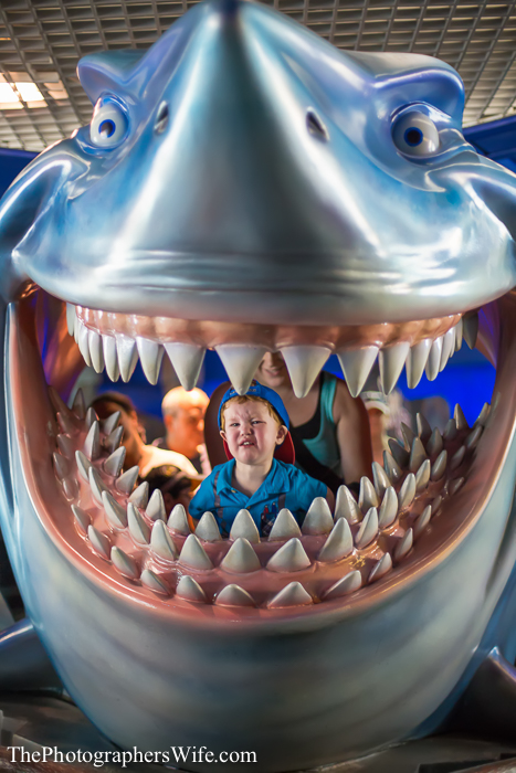 May Disney 1-1038