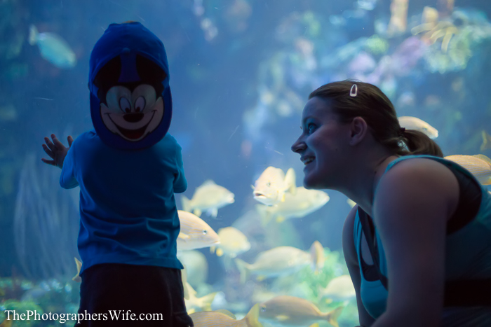 May Disney 1-1041