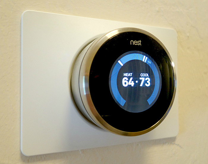 Nest 1