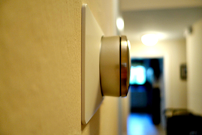 Nest 2