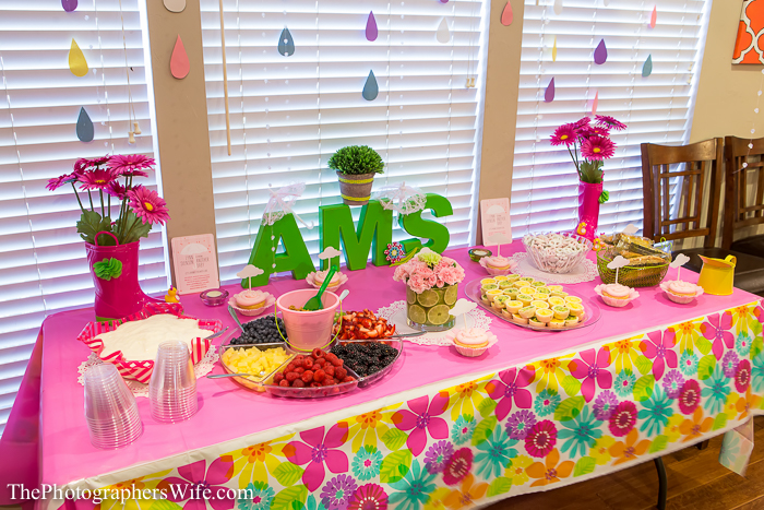 Baby shower sprinkle-1002