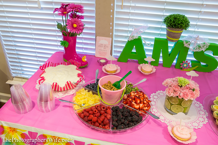 Baby shower sprinkle-1003