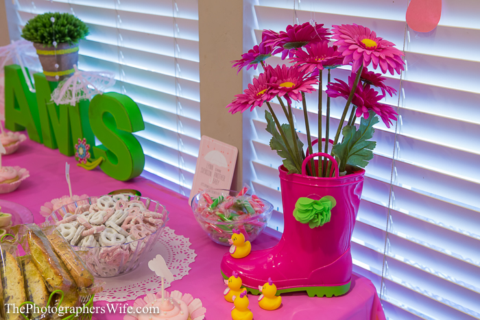Baby shower sprinkle-1009