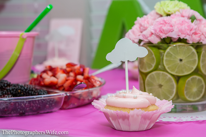 Baby shower sprinkle-1020