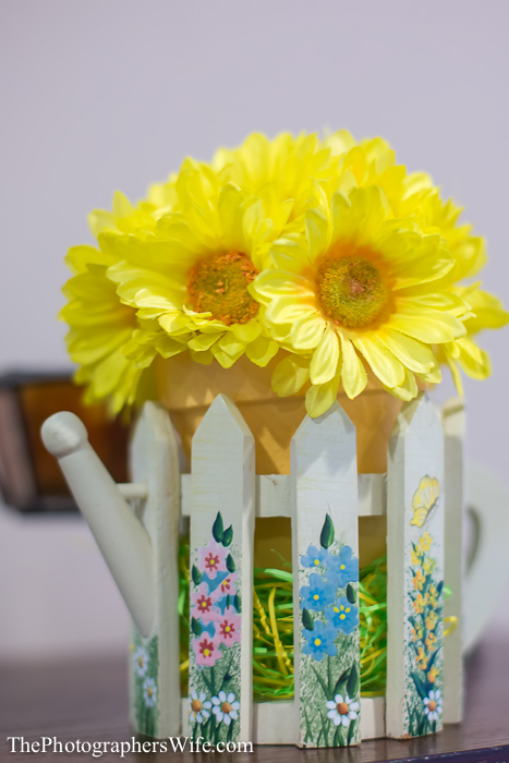Baby shower sprinkle-1029