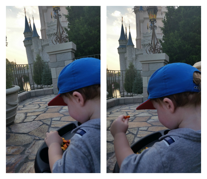 May Disney 63