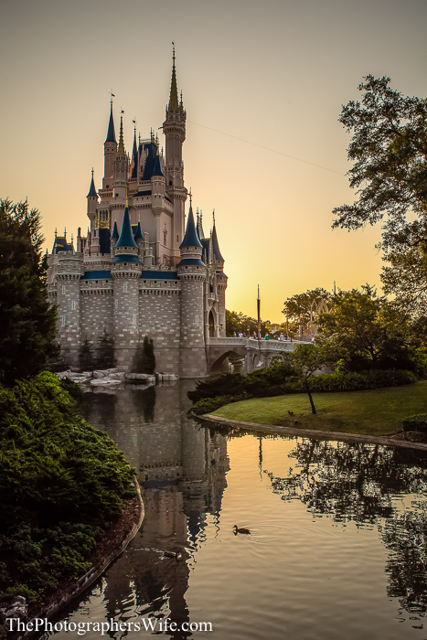 May Disney Day 2-1003