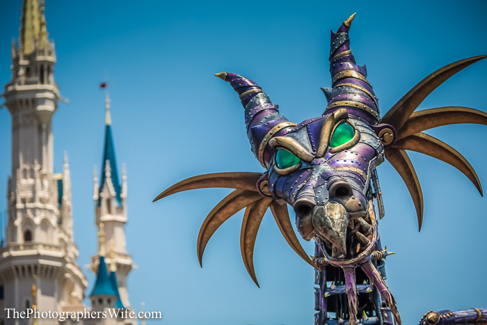May Disney Day 2-1029