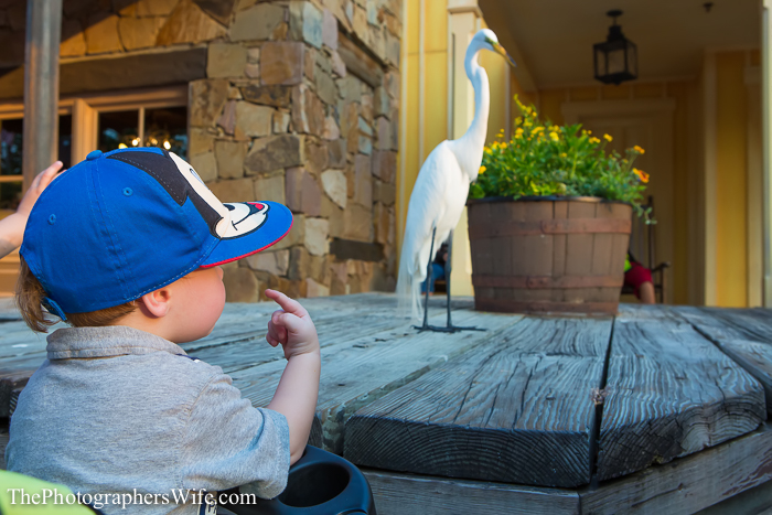 May Disney Day 2-1045