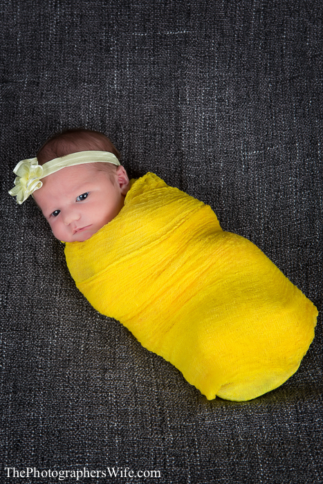 Aubrey newborn-1004